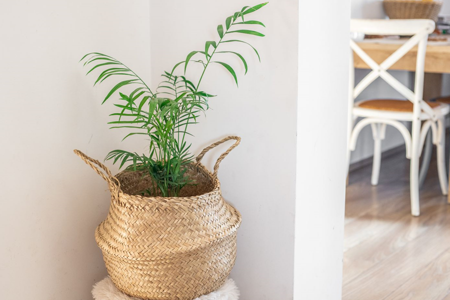 Advantages Of Artificial Phoenix Palm Plant